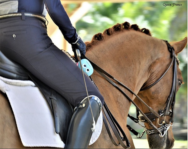 HorseAddict From Pony Club to Proud